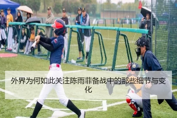 wai-jie-wei-he-ru-ci-guan-zhu-chen-yu-fei-bei-zhan-zhong-de-na-xie-xi-jie-yu-bian-hua-2-497.jpg